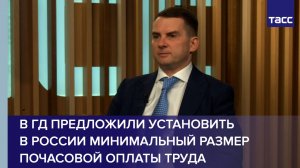 В ГД предложили установить в России минимальный размер почасовой оплаты труда