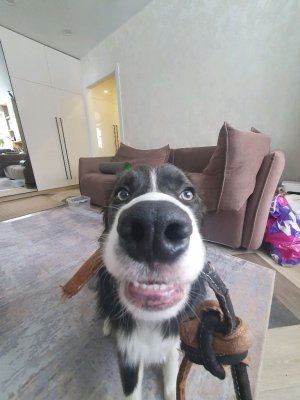 собираюсь в школу месте с вами🎀