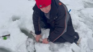 Витя не успел установить икру и сразу поймал