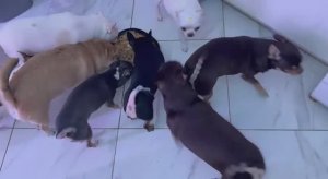 Пришло время плотно подкрепиться.