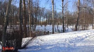 06.03.2026. Небольшая прогулка по берегу реки Оккервиль 🌊🌊🌊