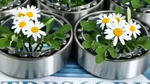 С 8 Марта РОМАШКИ -TDPS66.RU