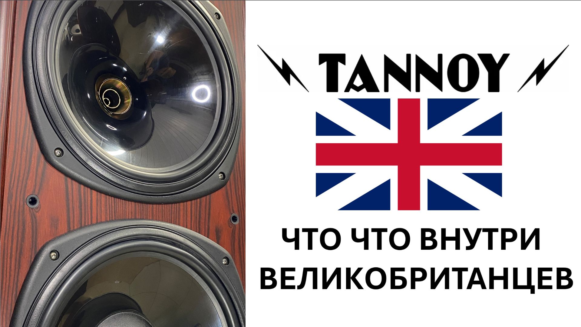 Tannoy D900 обзор, разбор, апгрейд