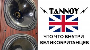 Tannoy D900 обзор, разбор, апгрейд