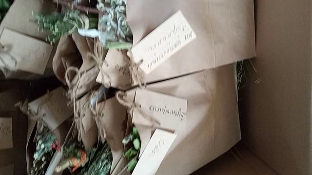 Травы для курса по травоплетению.