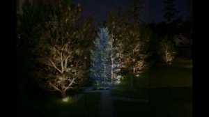 Ландшафтная подсветка всегда преображает пространство!