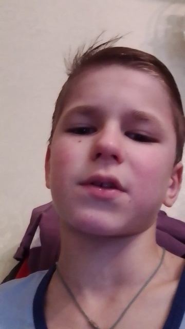 новая собака