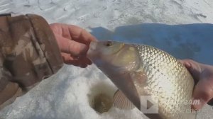 хочешь язя- надо искать и бурить!