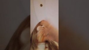 всем привет