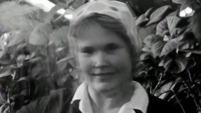 1970 год. Тюмень. Цветы в тепличном хозяйстве