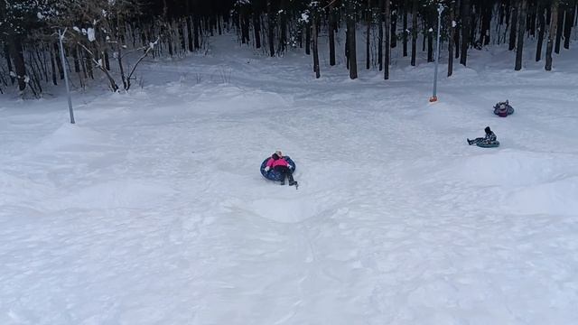 что мы делаем в лесу