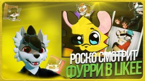 🐺 Роско смотрит prussian mouse - УЖАСЫ ФУРРИ В ЛАЙКЕ (+ ВК КЛИПЫ)
