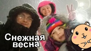Вышли ночью встречать первый день снежной весны... Фикс Прайс. День Майи. Наш хомяк.