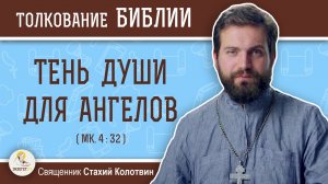Тень души для ангелов (Мк. 4:32)  Священник Стахий Колотвин