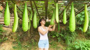 Собрала фасоль, тыкву и мини помидоры для продажи на рынке. Фуонг. Вьетнам