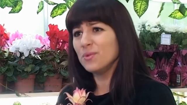 Как белгородцы поздравляли прекрасных дам в 2011 году в Международный женский день смотреть онлайн