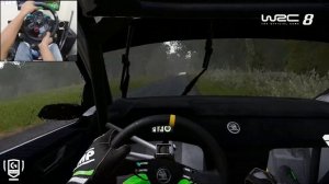 Skoda Fabia R5 на спецучастке 🔥 WRC 8 на Logitech G29 🏁