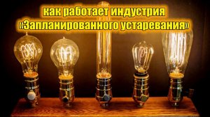 Раскрытие тайны похищения вечных ценностей картелем Фебус