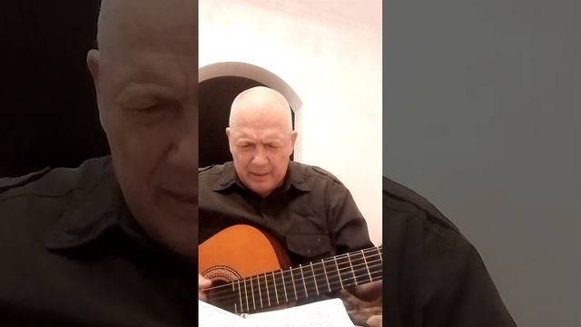 Высоцкий В.С.  Я пол мира почти ...