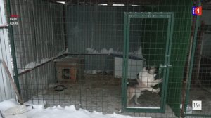 Дайджест новостей от 06.03.2026