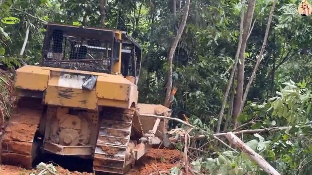 Строительство, расчистка горной дороги