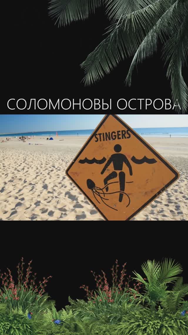 ПРОЗРАЧНАЯ СМЕРТЬ под водой 💀