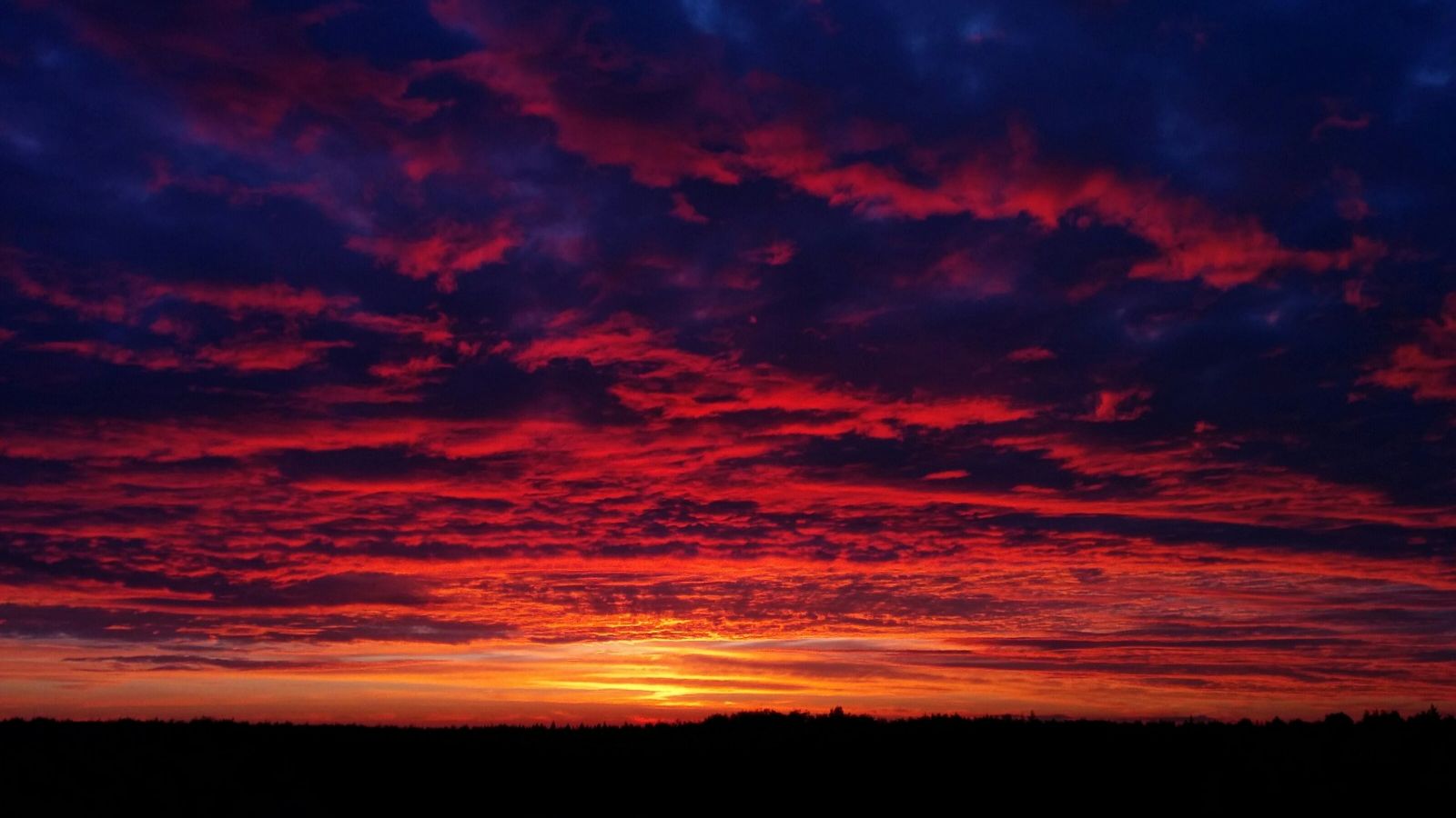 Россия сила