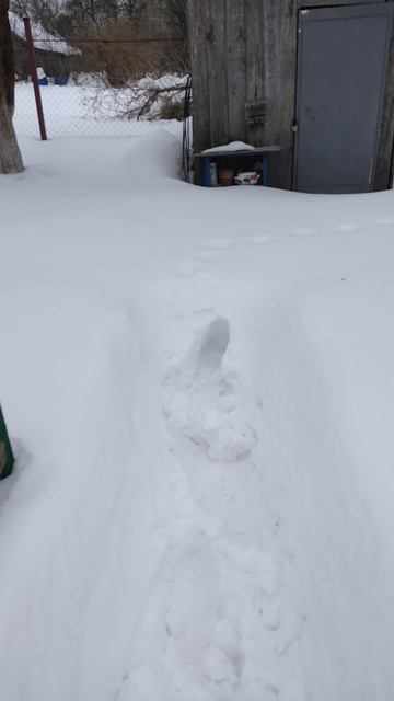 28-02-2026 конец зимы