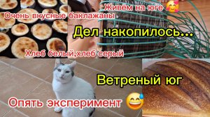 06-03-2026 Переехали на юг/Жизнь на юге/Постный майонез/Запечённые баклажаны/Дела домашние/Погода юг