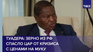 Туадера: зерно из РФ спасло ЦАР от кризиса с ценами на муку