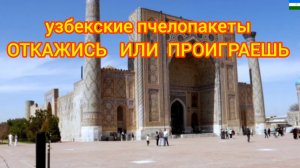 узбекские пчелопакеты
