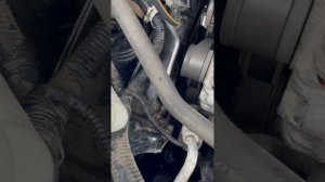 Идеальный кашкай