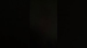 голодные игры с котом