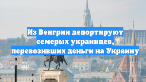 Из Венгрии депортируют семерых украинцев, перевозивших деньги на Украину