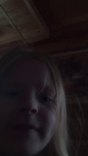 трансляция лизы