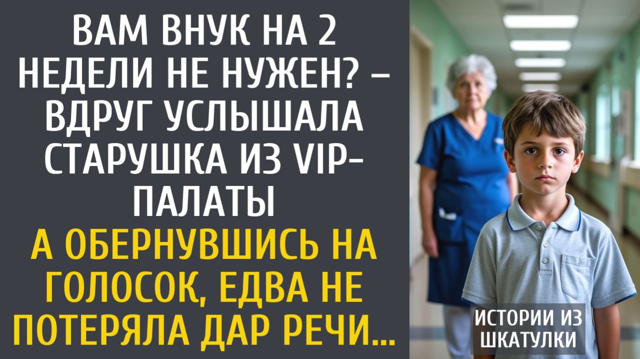 истории из жизни Вам внук на 2 недели не нужен? – вдруг услышала старушка из VIP-палаты…