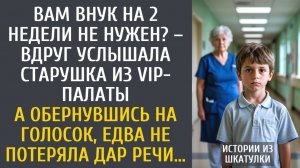 истории из жизни Вам внук на 2 недели не нужен? – вдруг услышала старушка из VIP-палаты…