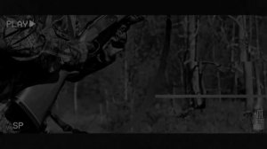 ДИЧЬ... Страшные истории на ночь 🫣🫣🫣