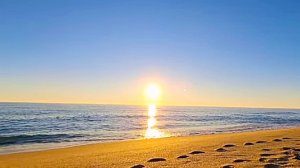 ИННА СУДАКОВА ПЛЯЖНЫЕ БУДНИ