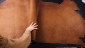 1,8-2,2 Юфть Коньяк 205дм² (КЛ)