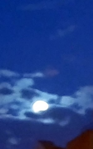 ЧИНИМ ДОХЛЫЙ ТЕЛЕФОН ААААААА