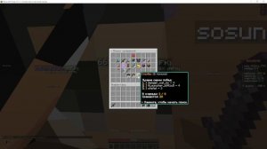 играю на рейд майне №4