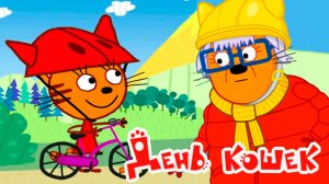 Три Кота Мультфильм | Три кота Мультики для малышей | Велосипед Три кота смотреть