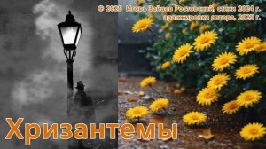 Хризантемы