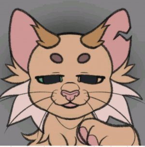 урааааа!!!!! спасибо ЗА АКТИВ!! и ещё..⭐⭐⭐🌟✨🌟✨❤️💜❤️💜❤️💜