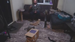 Вкусно поужинал Поиграл с кошками Уработался в поле Так и день прошёл ПОДВАЛ ИЛЬИЧА жизнь в селе