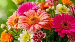 Поздравление с 8 марта коллегам