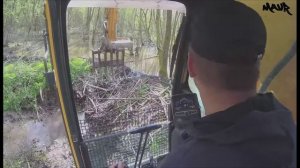 Использование экскаватора для устранения бобровой плотины Разрушение плотины