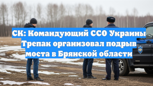 СК: Командующий ССО Украины Трепак организовал подрыв моста в Брянской области