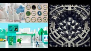 4+. Рай рождает ад